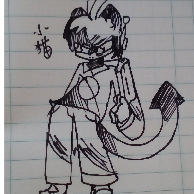 小猫来啦！