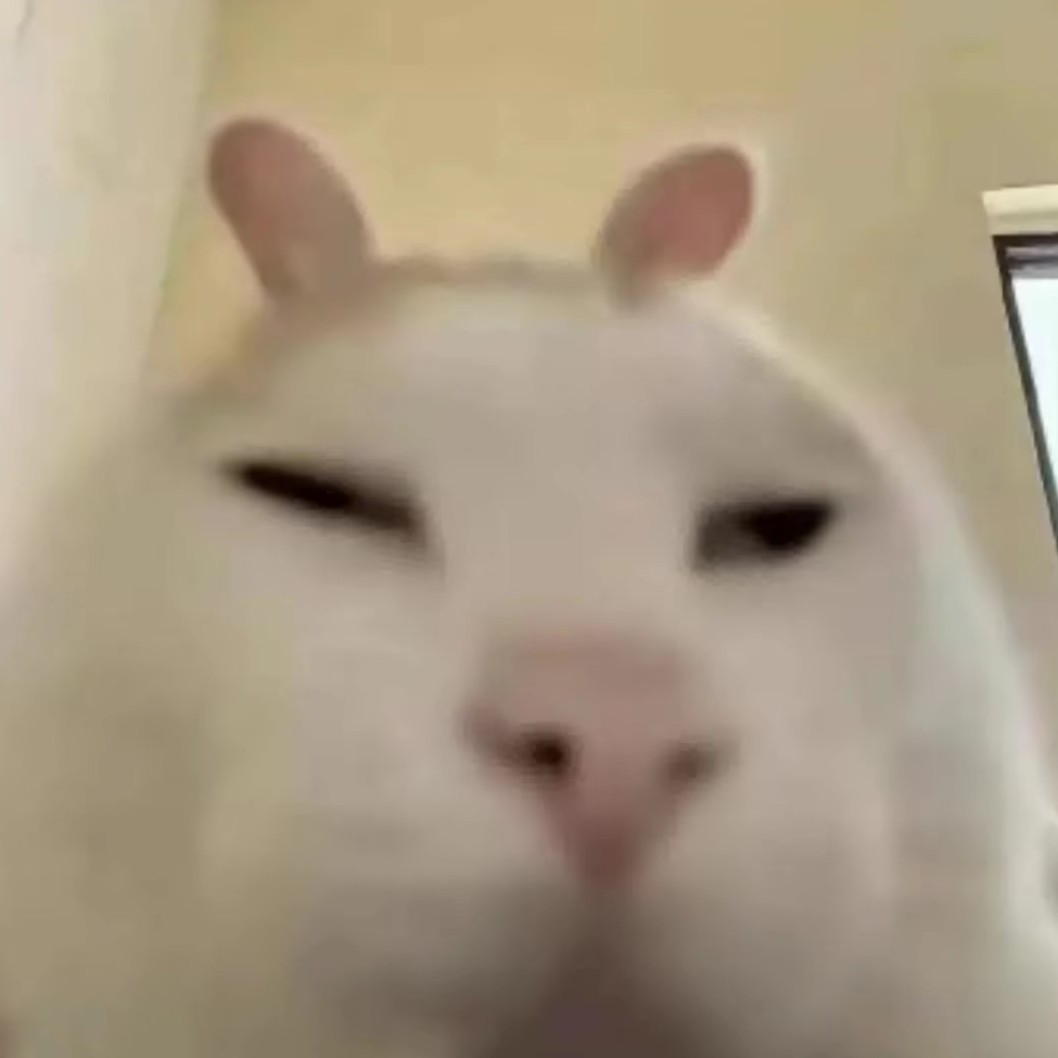 雾之楓