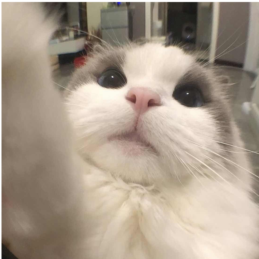 昊