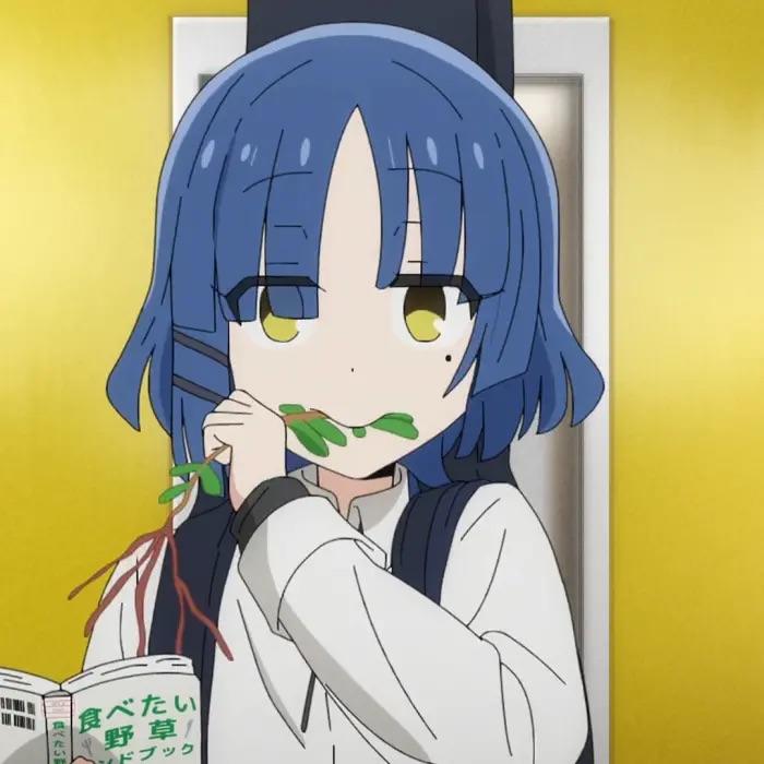 新新新新