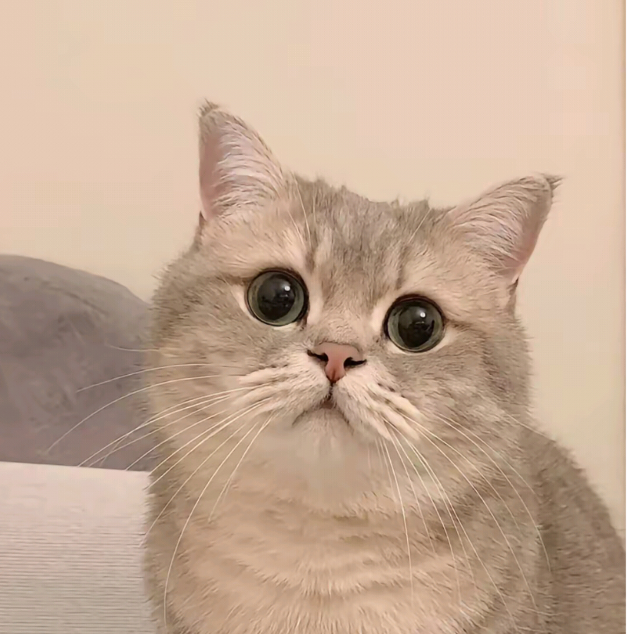 橙子