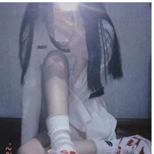 桉是赏心人