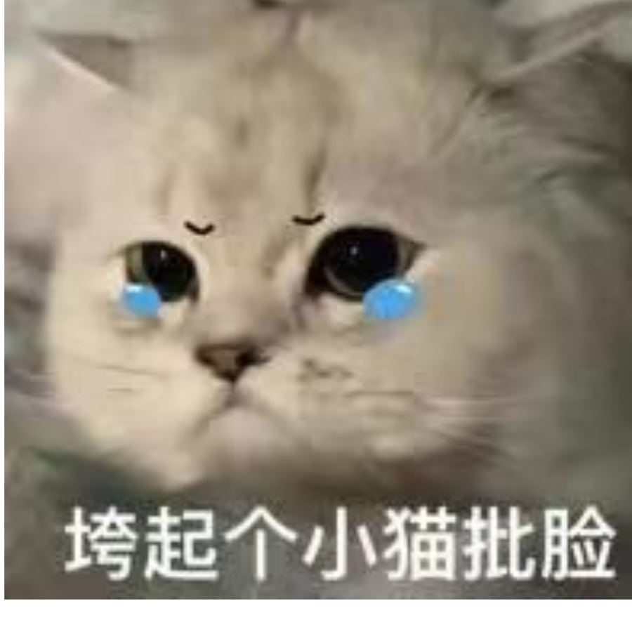 执迷