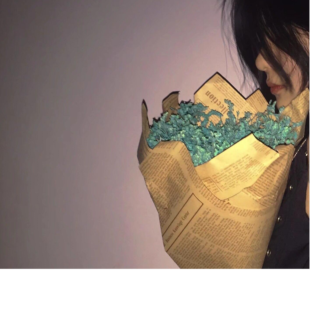 星绘