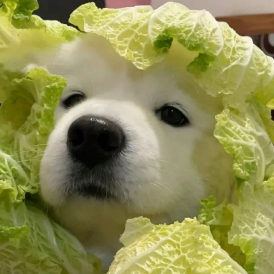 牎龘