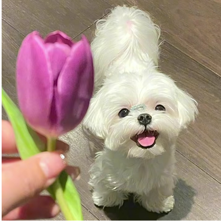 快快
