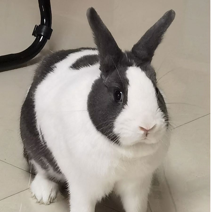 Kevin