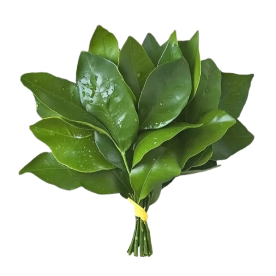 泡泡