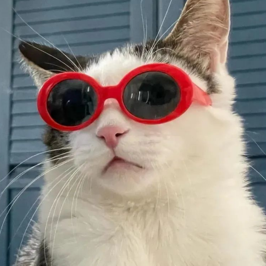 Q