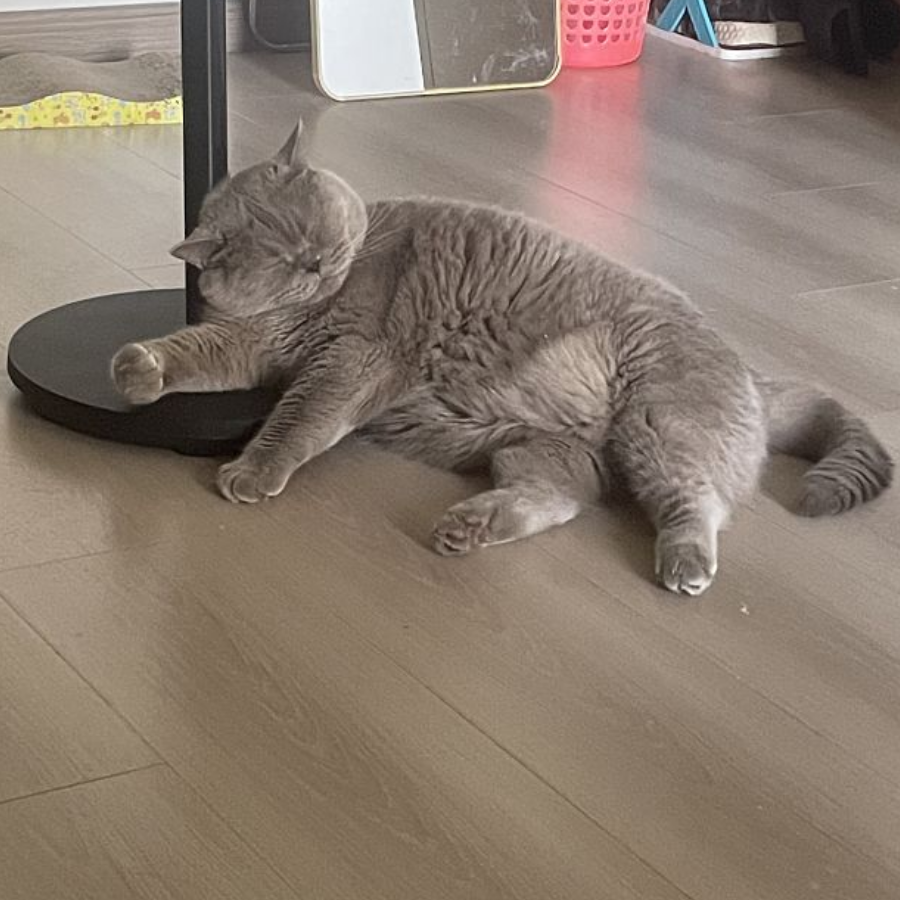 一键飘香不留名