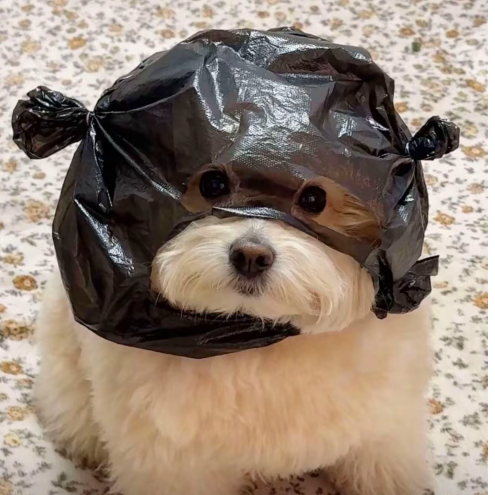玛卡巴卡