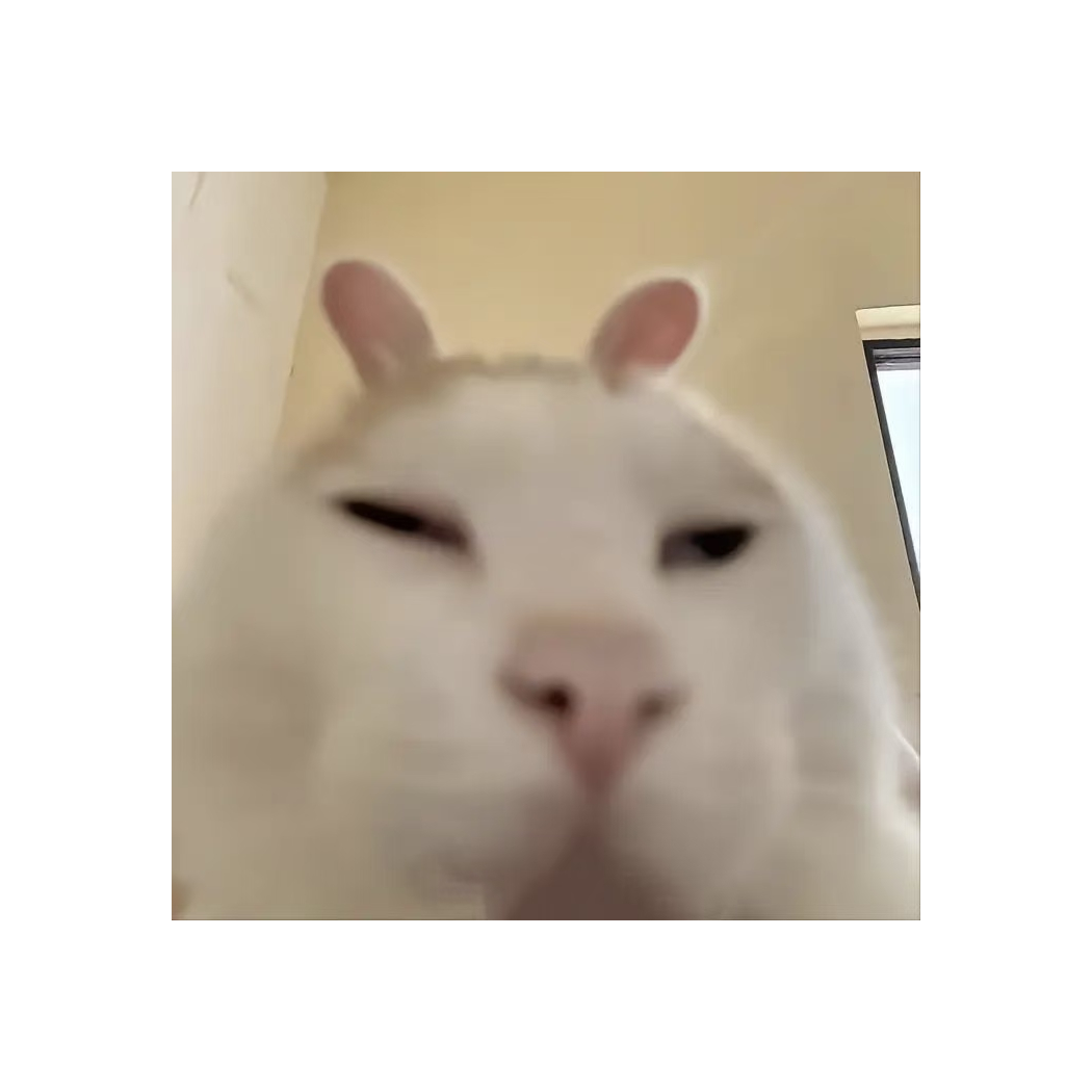 嘻嘻