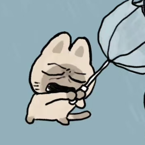 雨道
