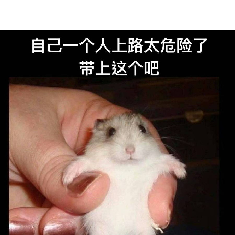 大写的十三