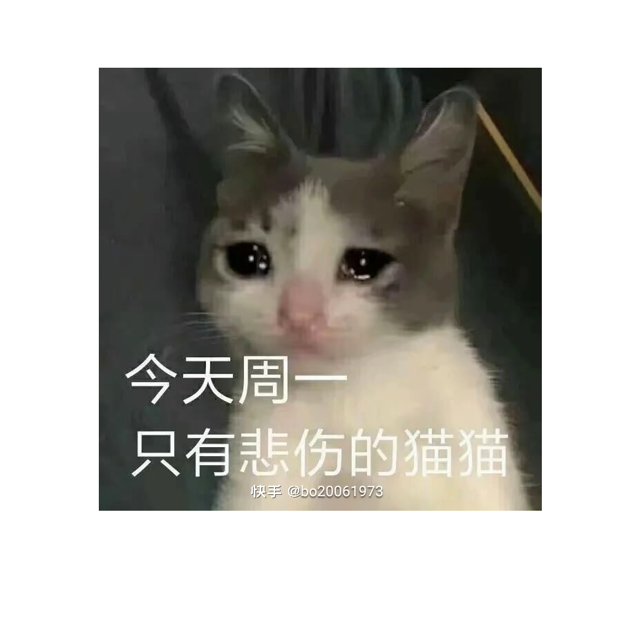 开心的绿豆鲨