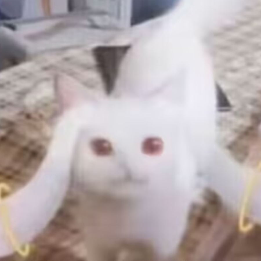 叶然然