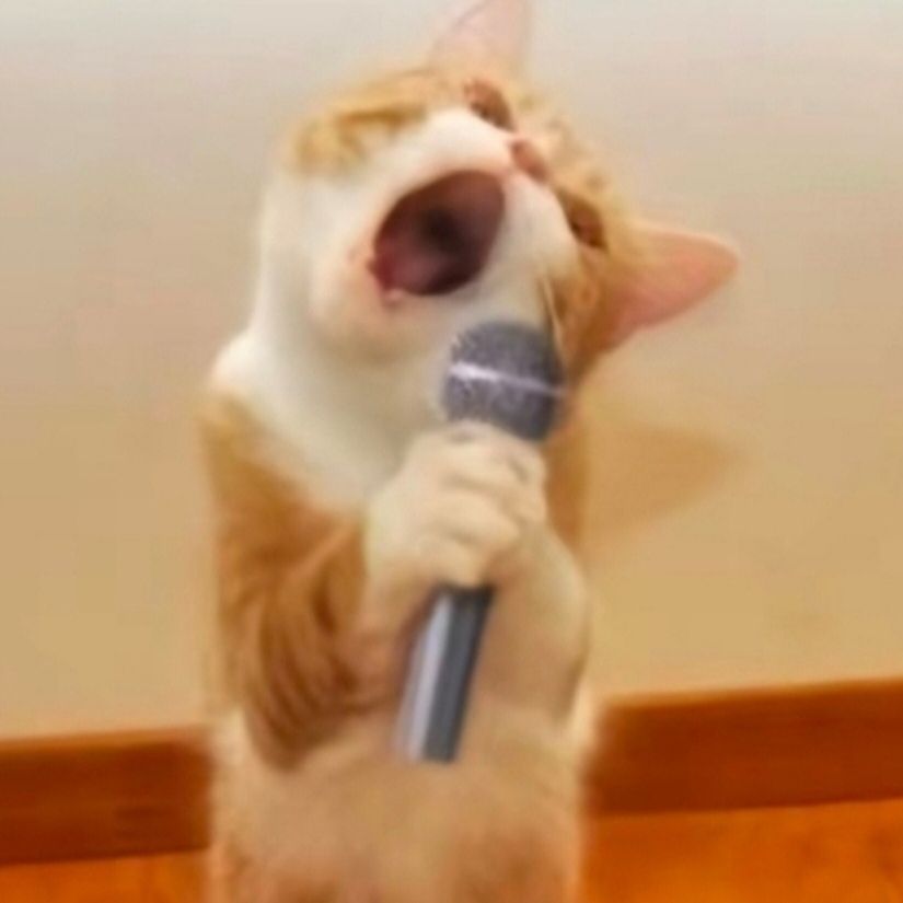 辣条