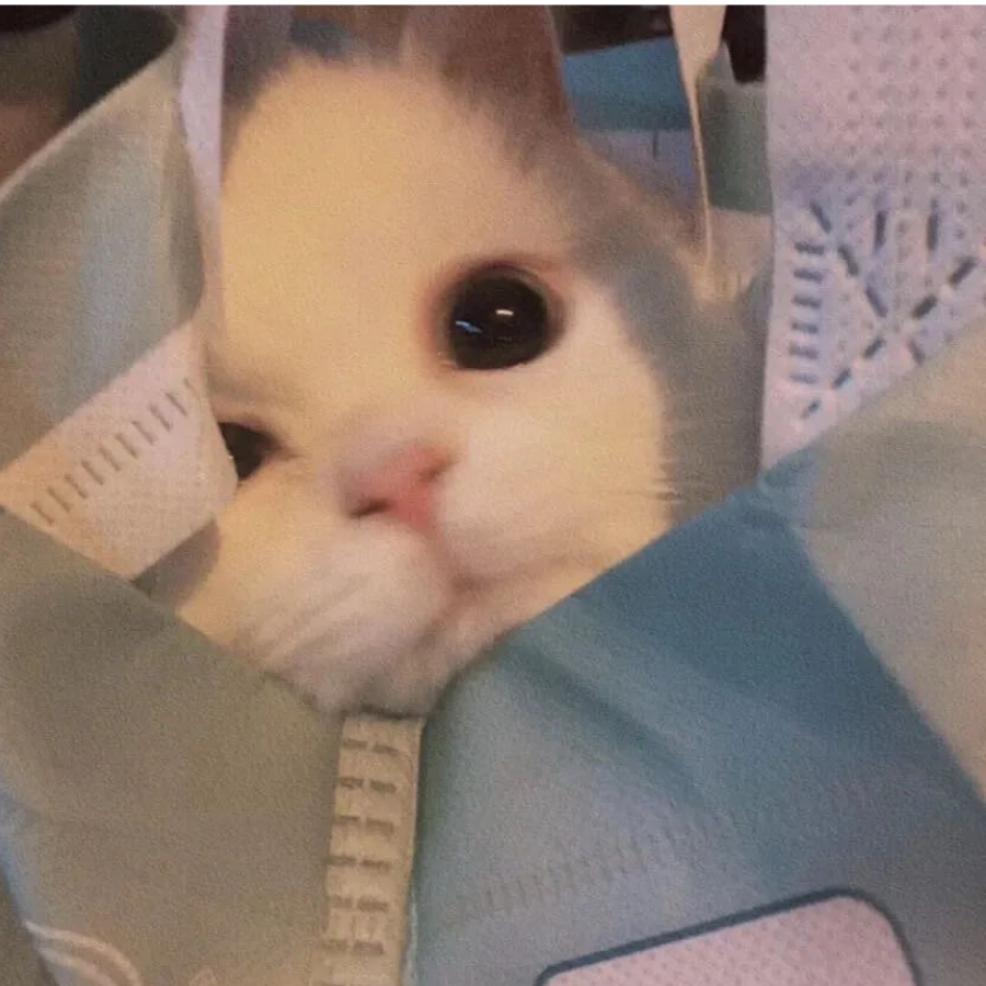 かに ^=_=^