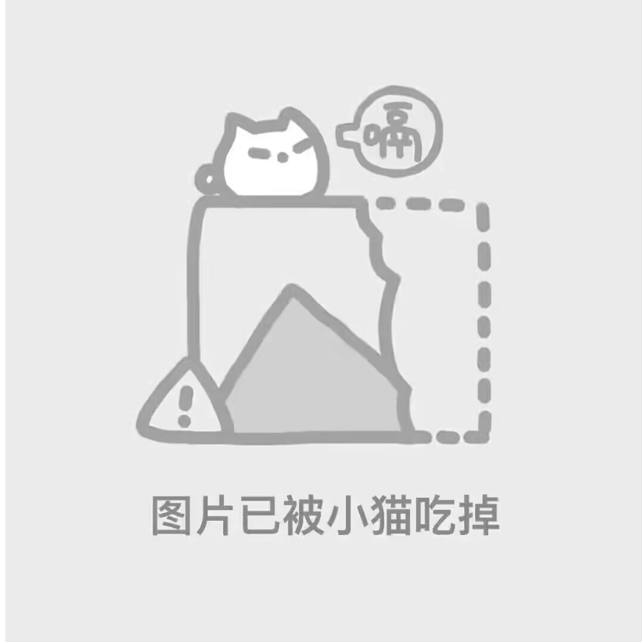 会数星星的猫