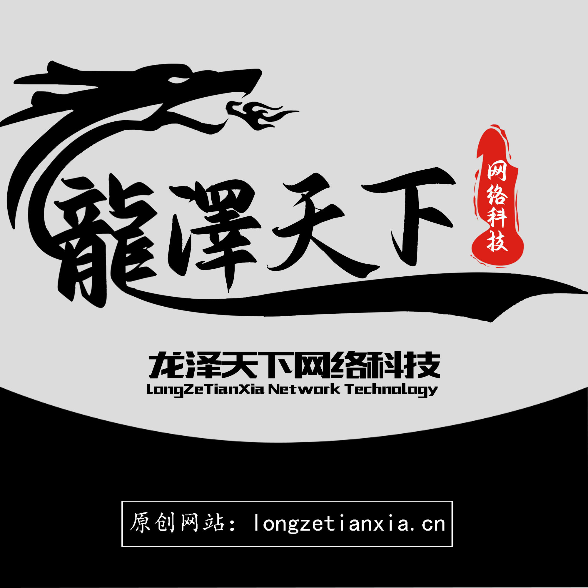 龙泽天下网络科技