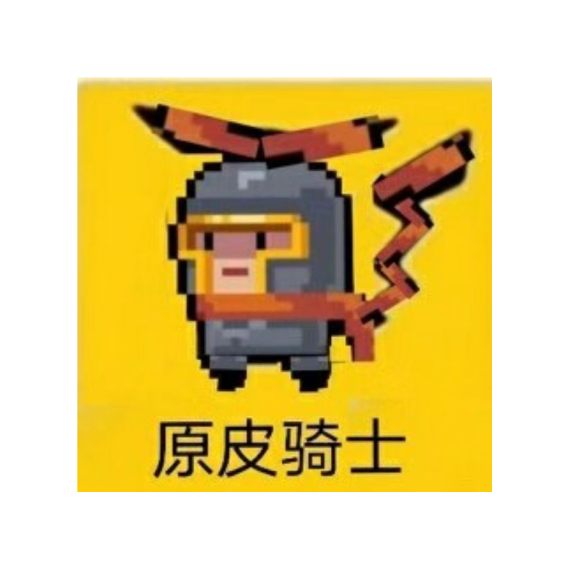 原皮骑士