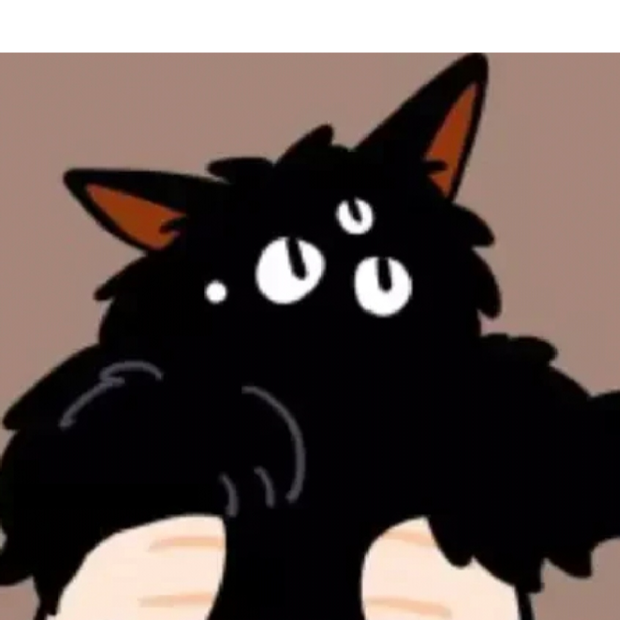 仙人掌猫