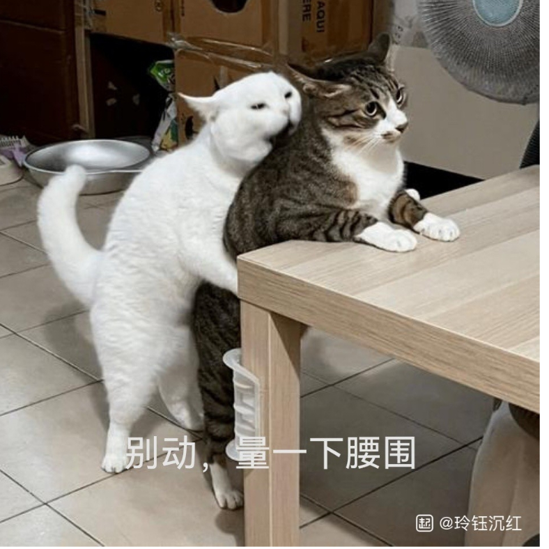 武极证道