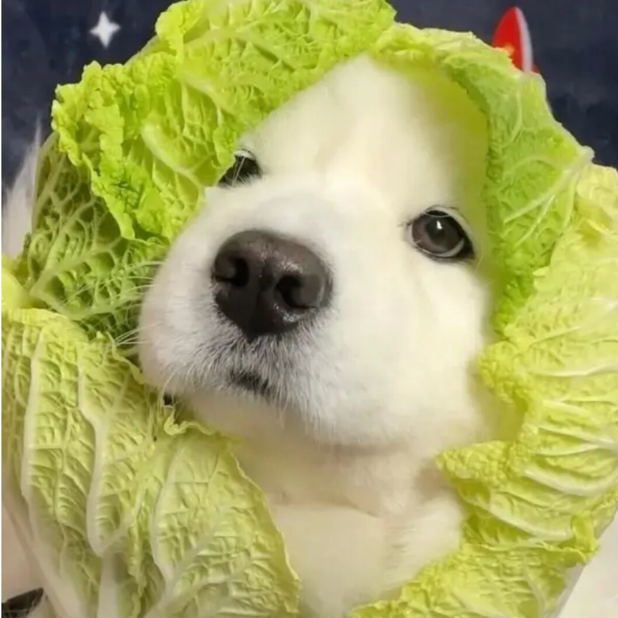 萧韩三岁了