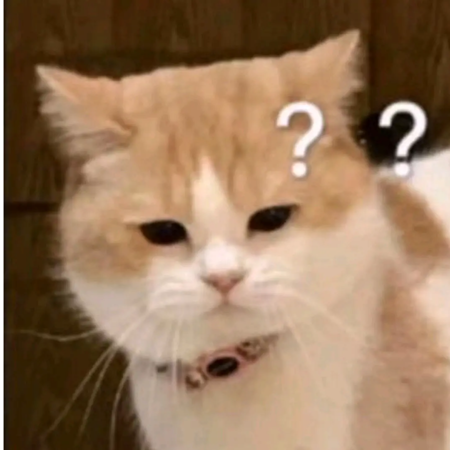 哦哦