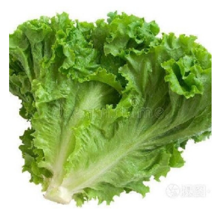 莫有
