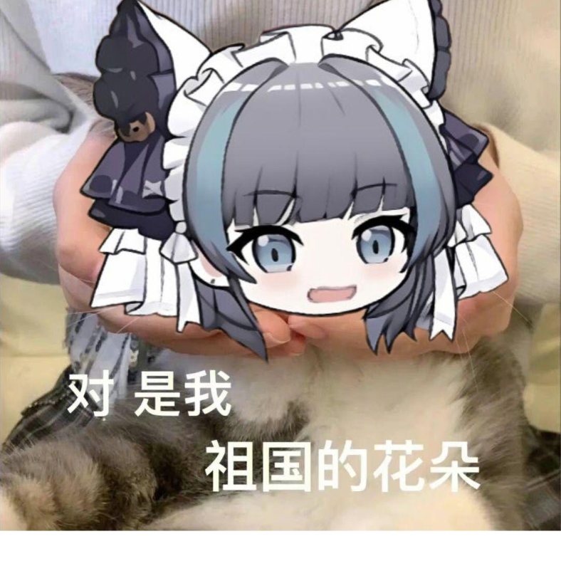 夜空中最亮的星