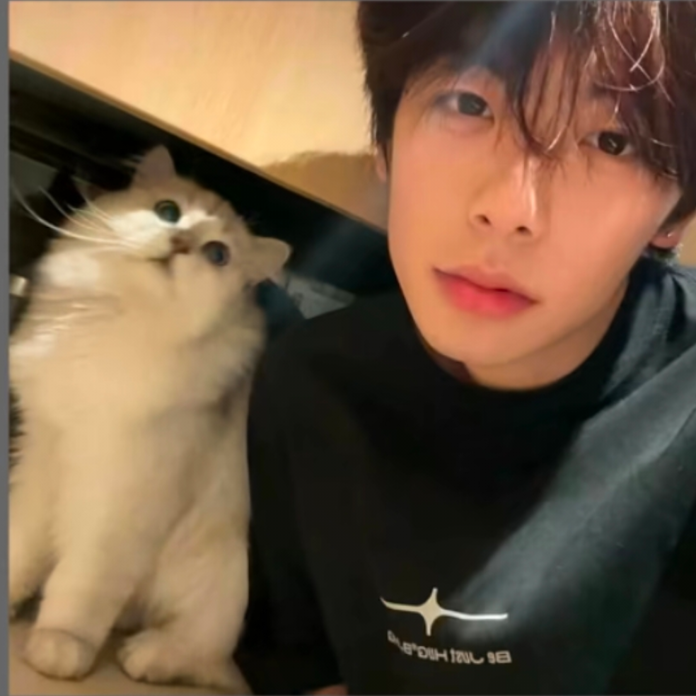 坚决做个不开挂不坐挂车的帅哥