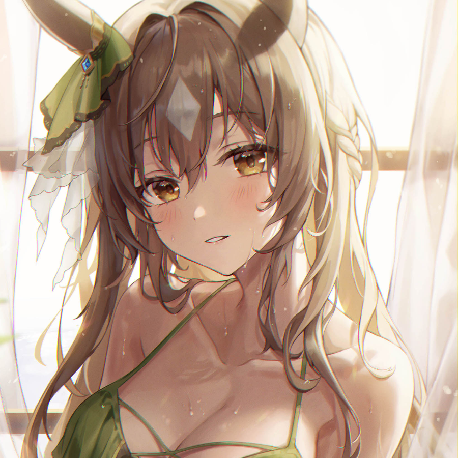 落星归沉