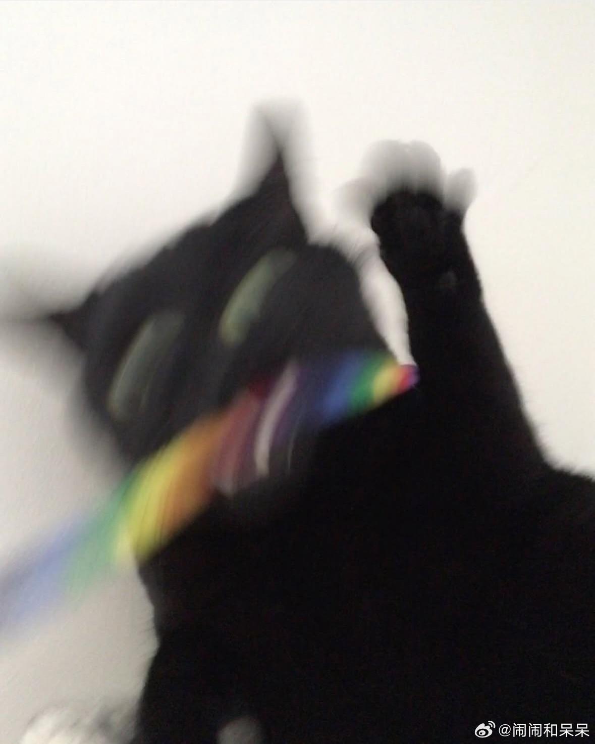 非酋的上衫