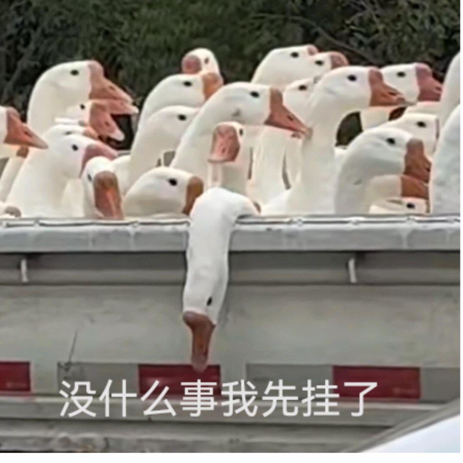 阮愿