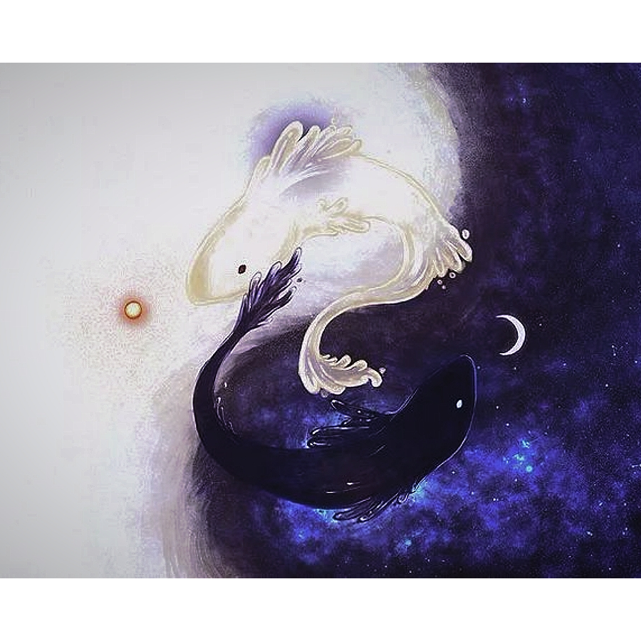 叫我阿浪就好了