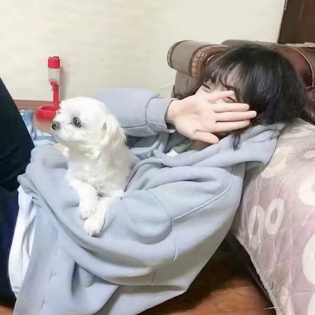 世界第一萌