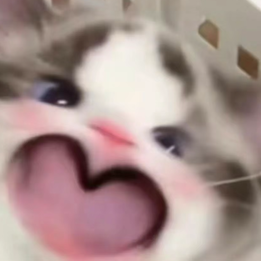 带着猫猫远航