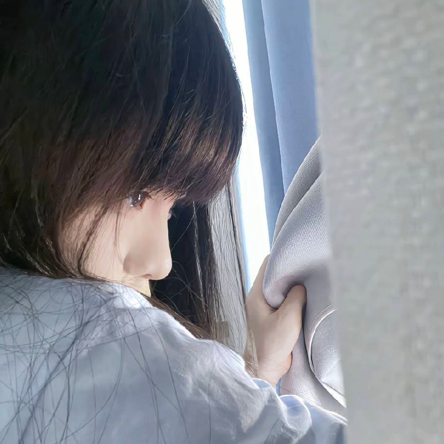 宅宅猫