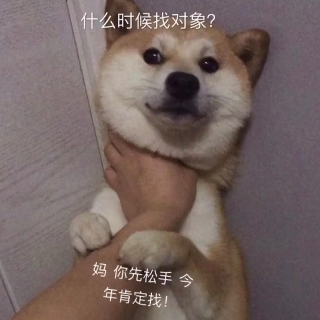 奥迪