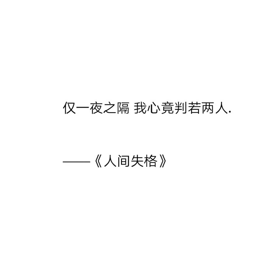 两只猪猪