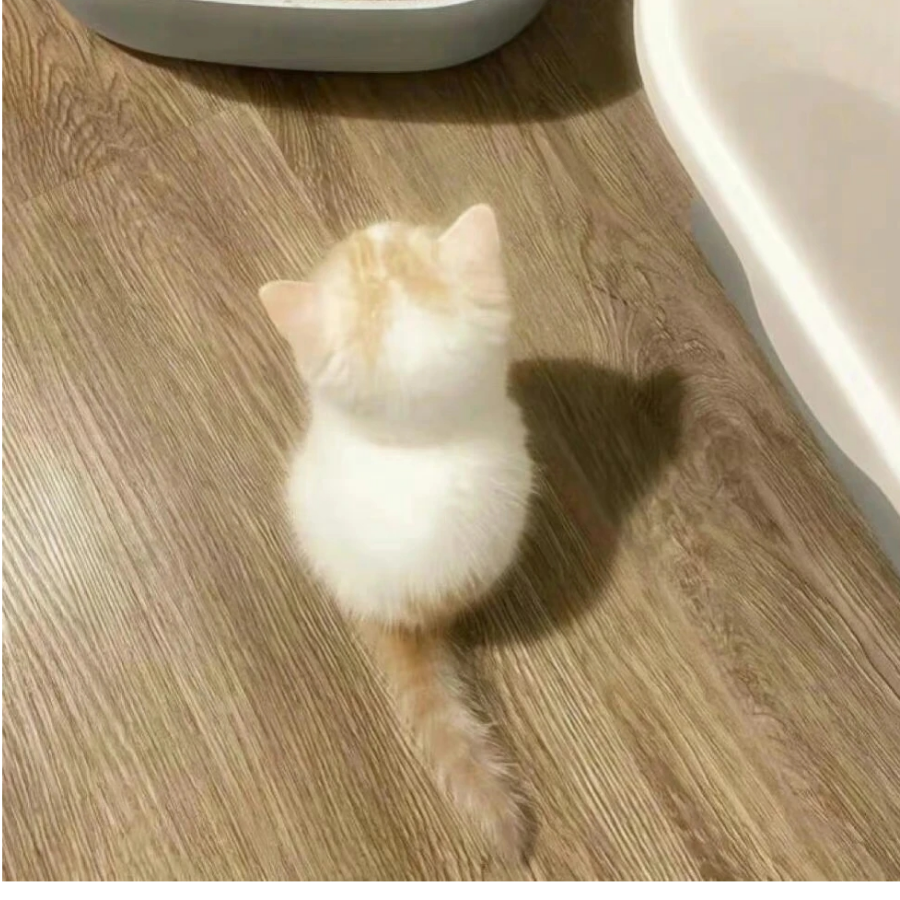 于心