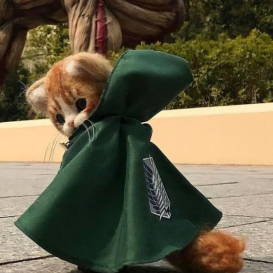 oo墨祺oo