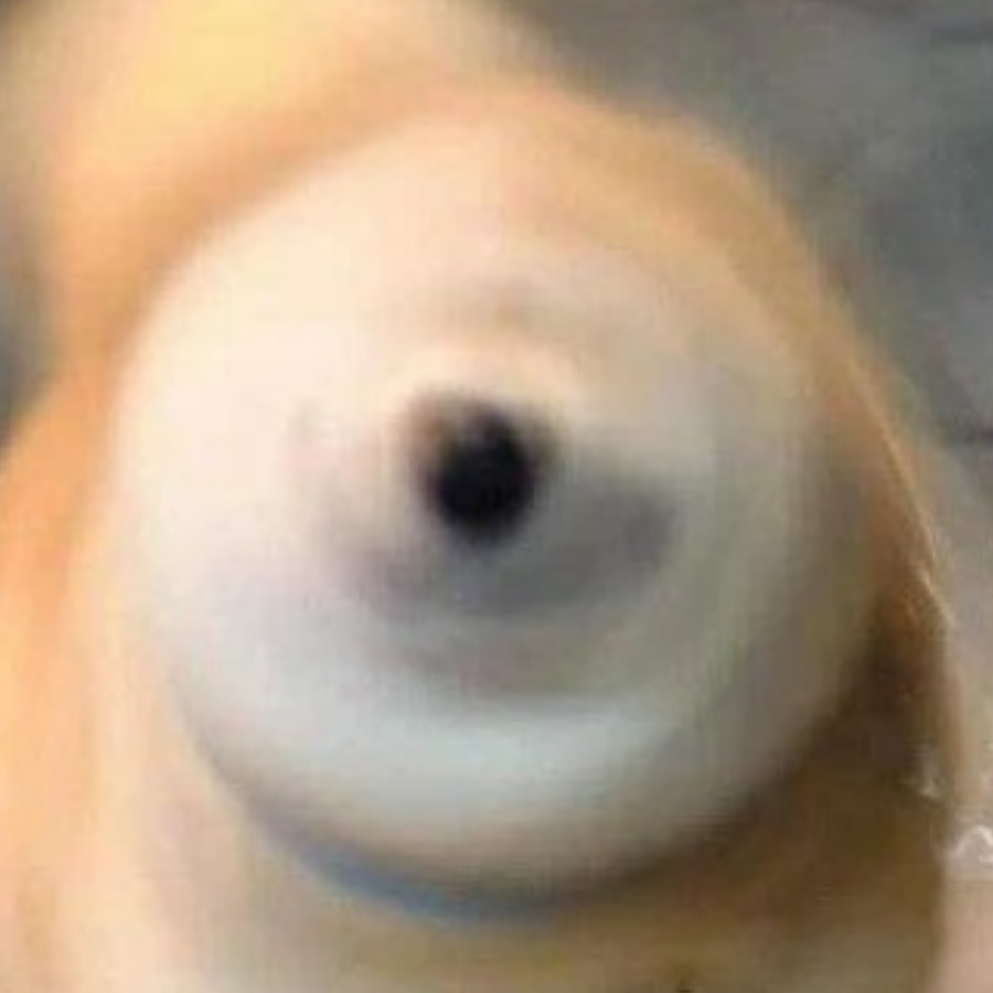杰克莫得感情