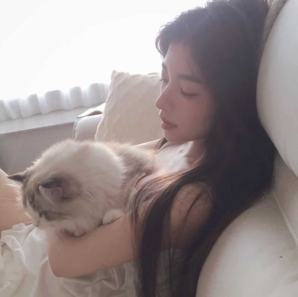 懒猫