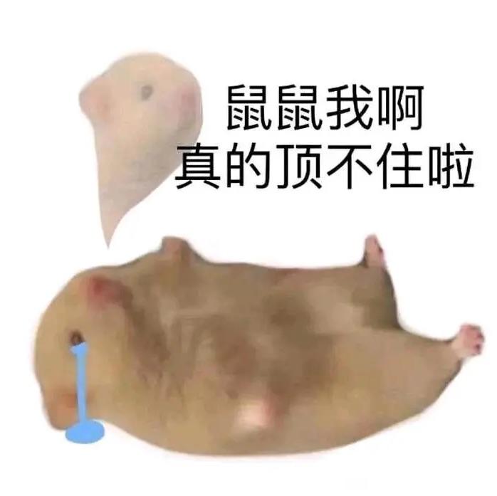 昵ཾ称