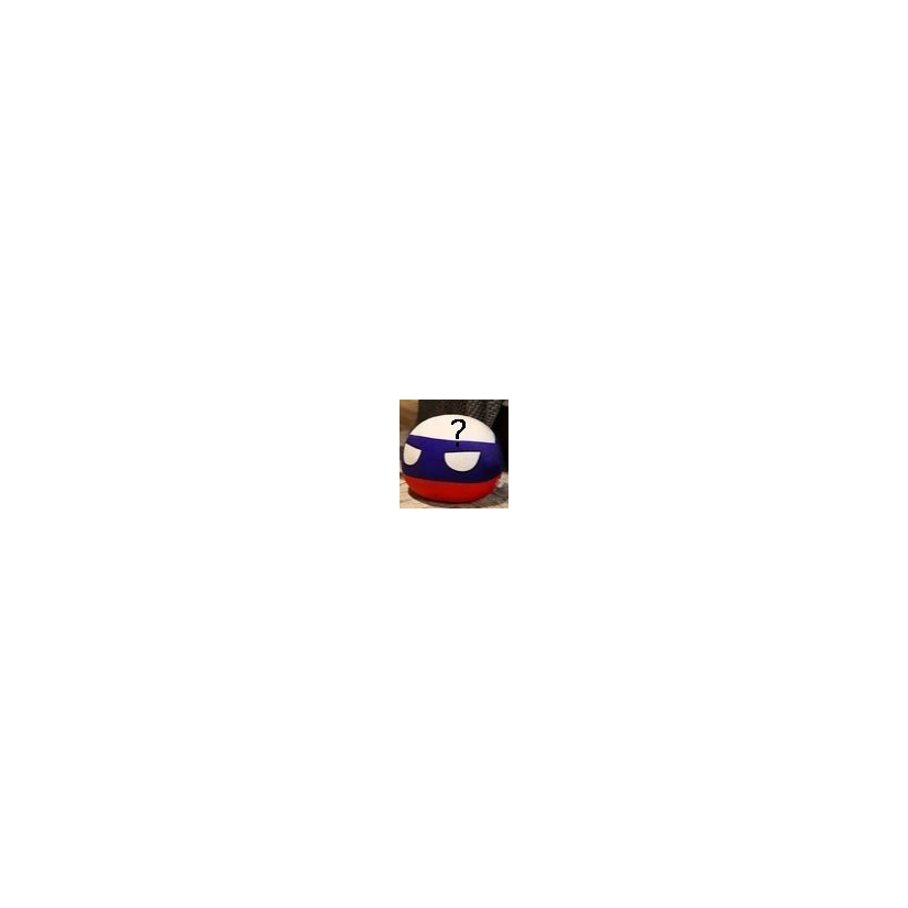 盾