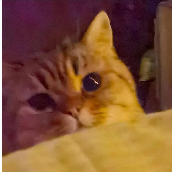 。