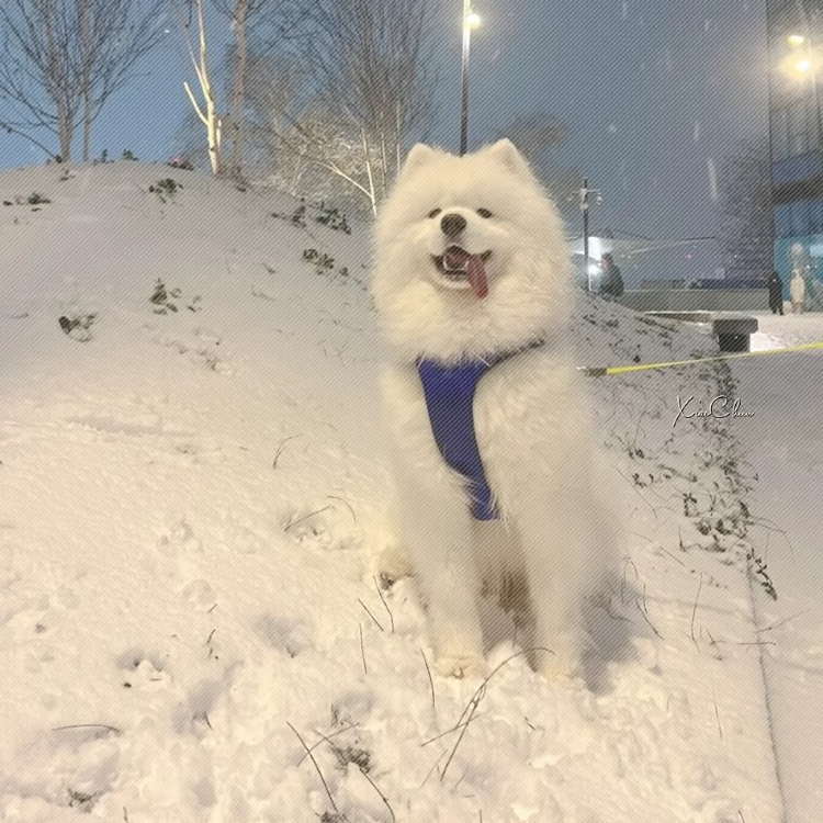 冷静