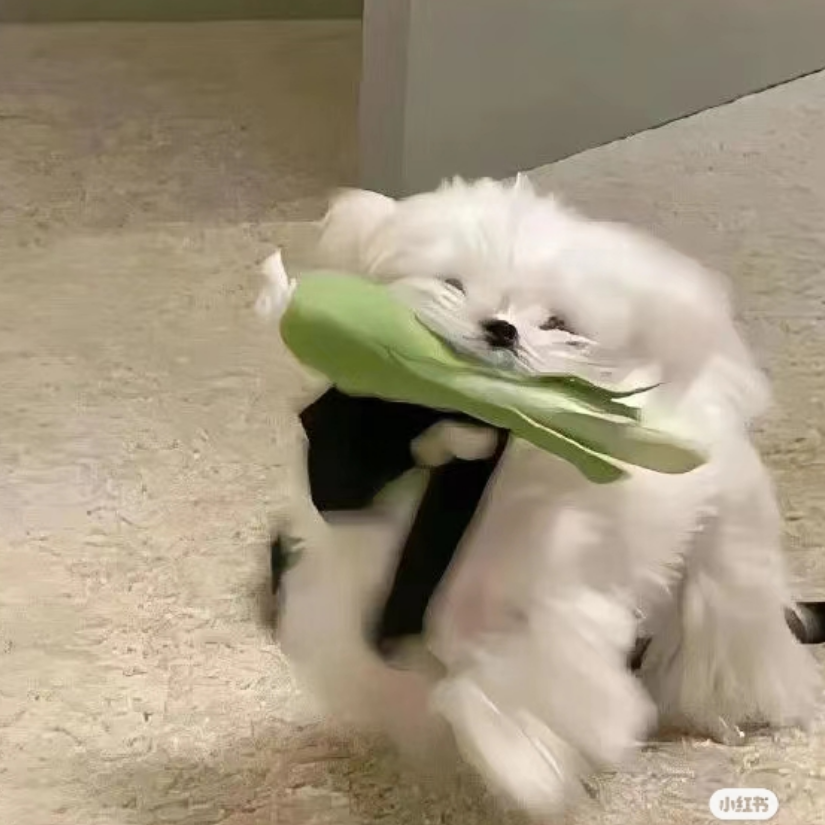 想想
